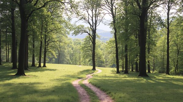 Lille : top 5 lieux de séminaire résidentiel en pleine nature